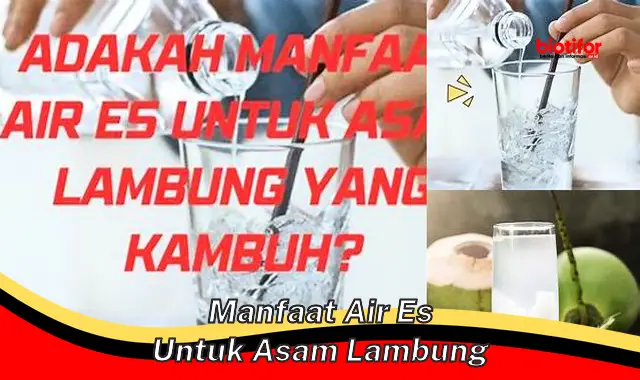 manfaat air es untuk asam lambung