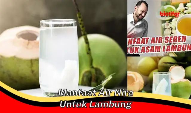 manfaat air nira untuk lambung