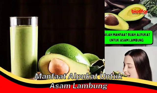 manfaat alpukat untuk asam lambung