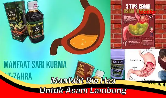 Temukan 5 Manfaat Bio HSA untuk Asam Lambung yang Jarang Diketahui ...