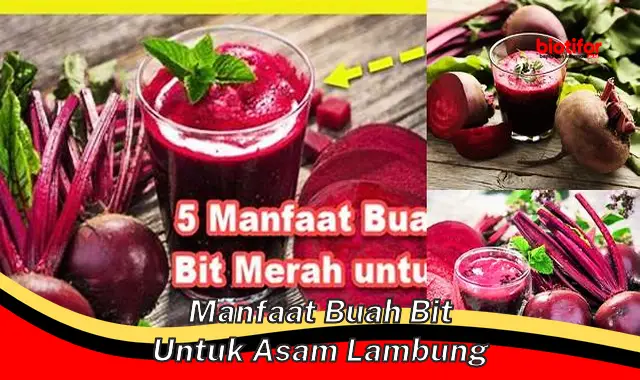 manfaat buah bit untuk asam lambung