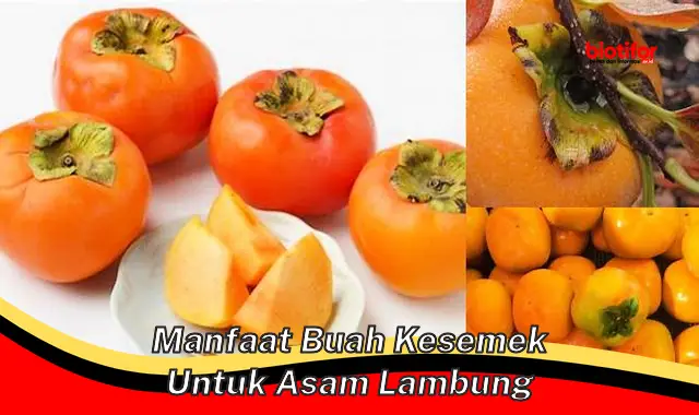 Manfaat Buah Kesemek untuk Asam Lambung yang Perlu Anda Tahu