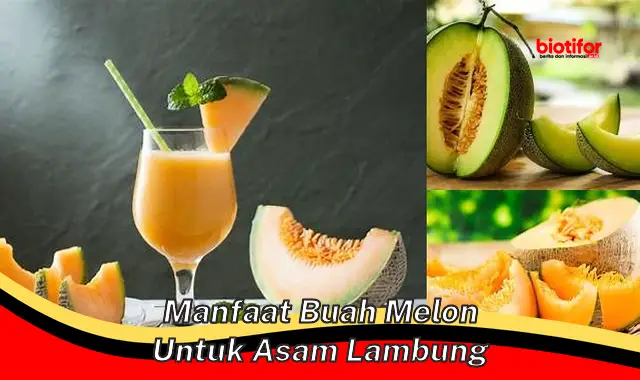 manfaat buah melon untuk asam lambung