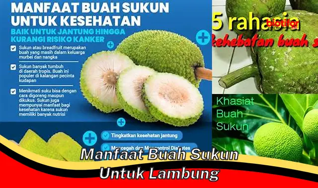 manfaat buah sukun untuk lambung