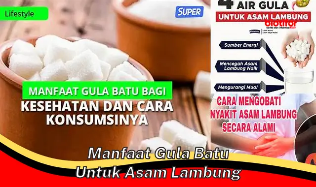 manfaat gula batu untuk asam lambung