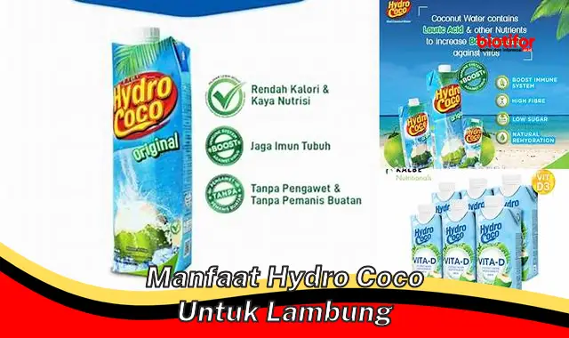 manfaat hydro coco untuk lambung