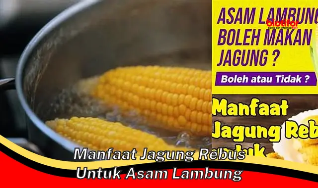 manfaat jagung rebus untuk asam lambung