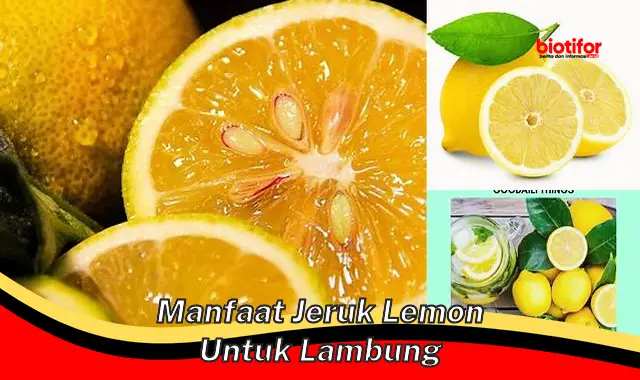 manfaat jeruk lemon untuk lambung