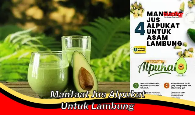 manfaat jus alpukat untuk lambung