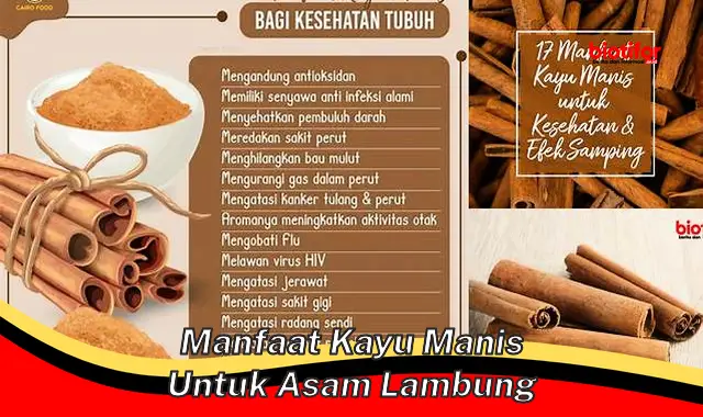 manfaat kayu manis untuk asam lambung