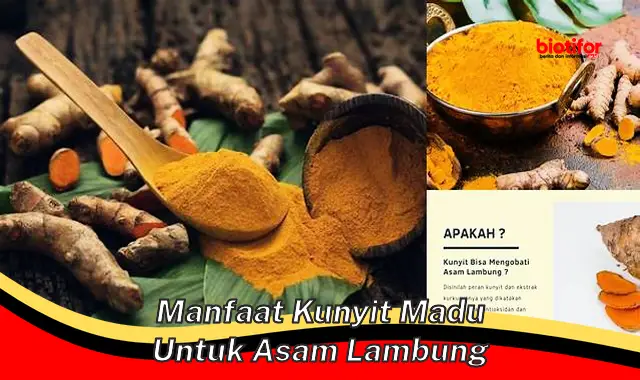 manfaat kunyit madu untuk asam lambung