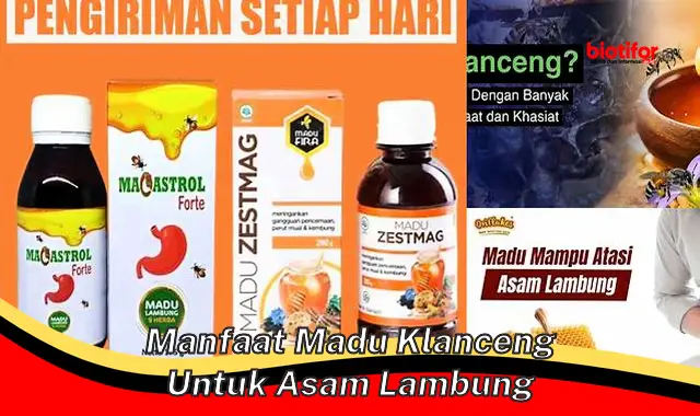 manfaat madu klanceng untuk asam lambung