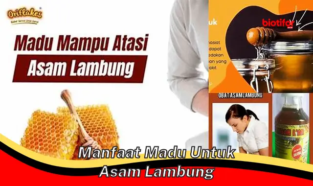 manfaat madu untuk asam lambung