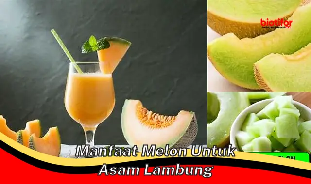 manfaat melon untuk asam lambung