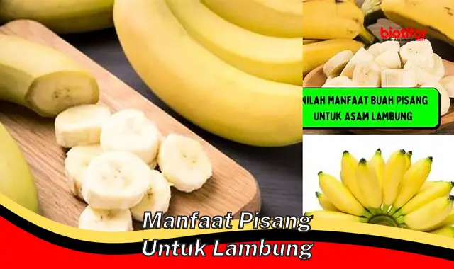 manfaat pisang untuk lambung