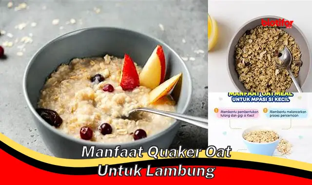 manfaat quaker oat untuk lambung