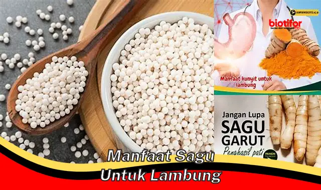 manfaat sagu untuk lambung