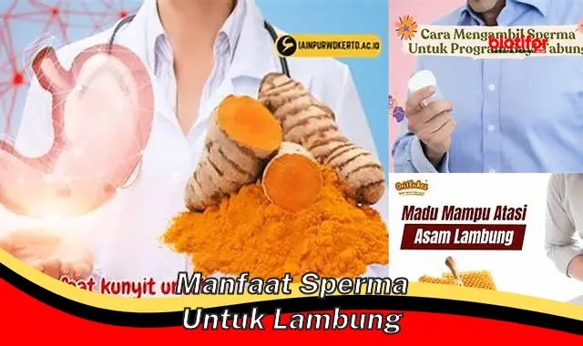 manfaat sperma untuk lambung