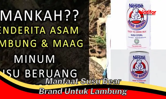 manfaat susu bear brand untuk lambung