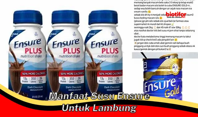 manfaat susu ensure untuk lambung