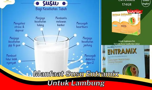 manfaat susu entramix untuk lambung