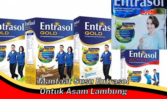 manfaat susu entrasol untuk asam lambung