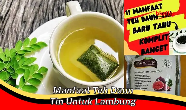 manfaat teh daun tin untuk lambung