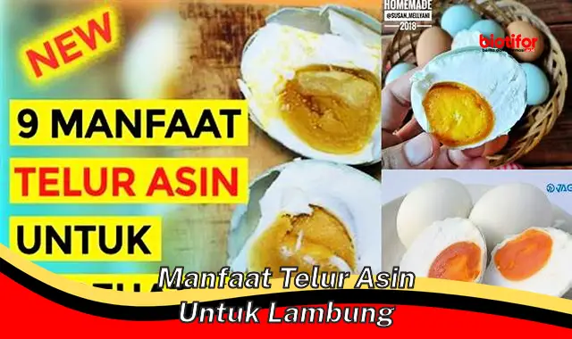 Temukan Manfaat Telur Asin untuk Lambung yang Jarang Diketahui