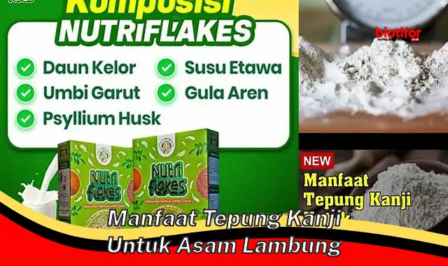 manfaat tepung kanji untuk asam lambung