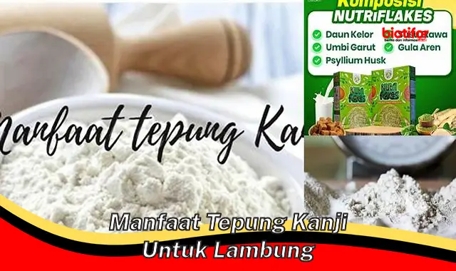 manfaat tepung kanji untuk lambung