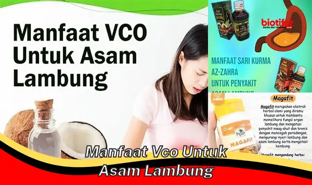 manfaat vco untuk asam lambung