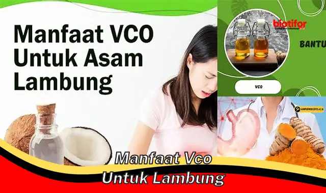 manfaat vco untuk lambung