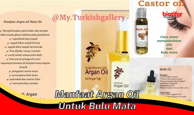 manfaat argan oil untuk bulu mata