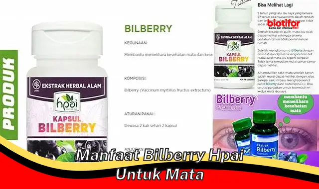 manfaat bilberry hpai untuk mata