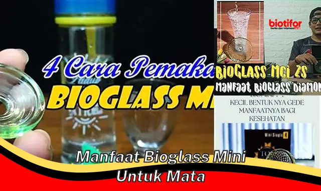 manfaat bioglass mini untuk mata