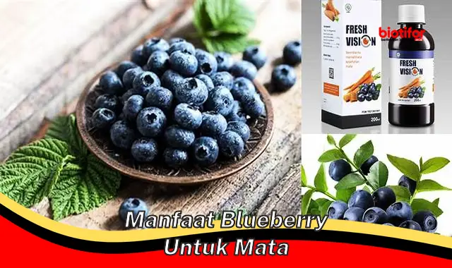 manfaat blueberry untuk mata