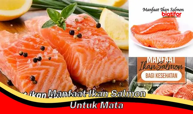 manfaat ikan salmon untuk mata