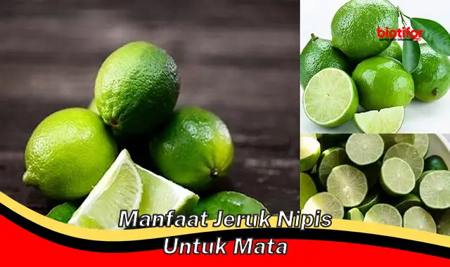 manfaat jeruk nipis untuk mata