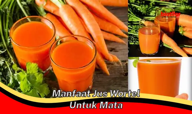 Temukan Manfaat Jus Wortel untuk Mata yang Belum Diketahui - Biotifor