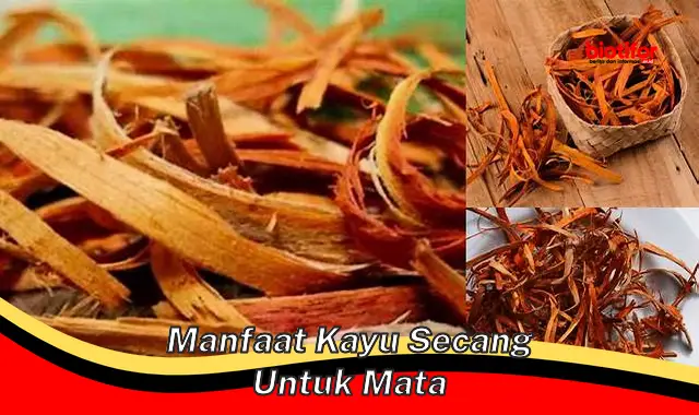 Temukan Khasiat Kayu Secang untuk Mata, Wawasan Langka