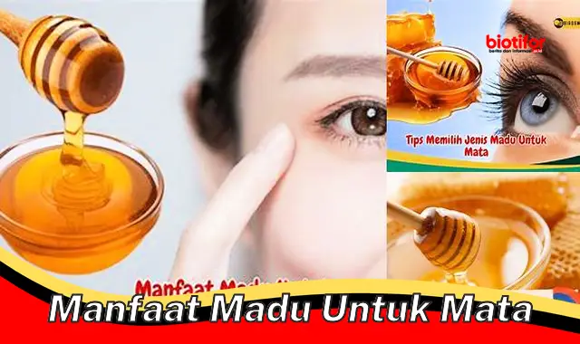 Temukan 5 Manfaat Madu Untuk Mata Yang Jarang Diketahui Biotifor