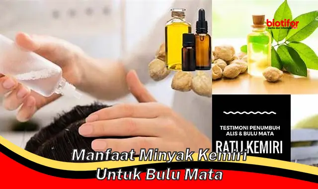 manfaat minyak kemiri untuk bulu mata