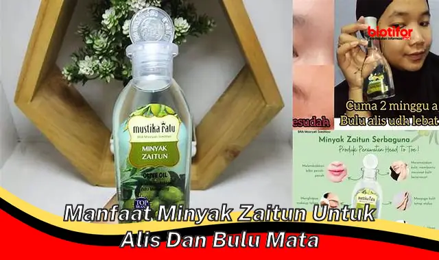 manfaat minyak zaitun untuk alis dan bulu mata