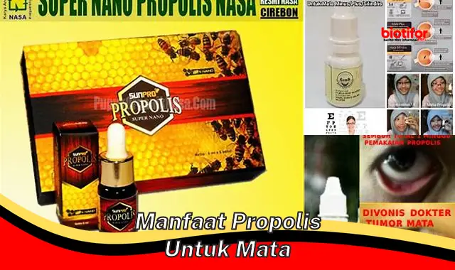 manfaat propolis untuk mata