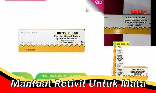 manfaat retivit untuk mata