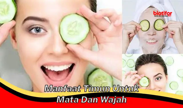 manfaat timun untuk mata dan wajah