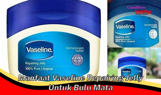 manfaat vaseline repairing jelly untuk bulu mata