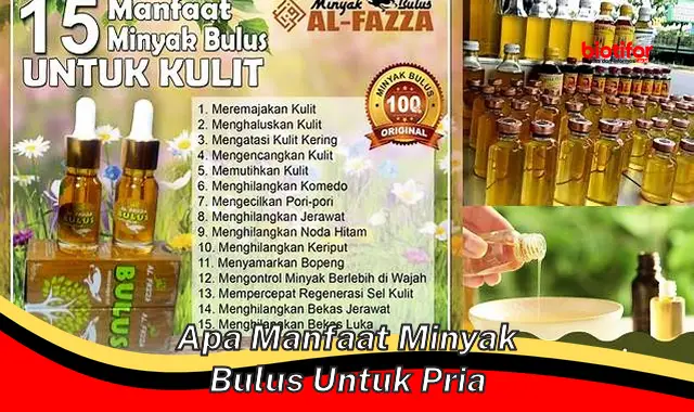 apa manfaat minyak bulus untuk pria