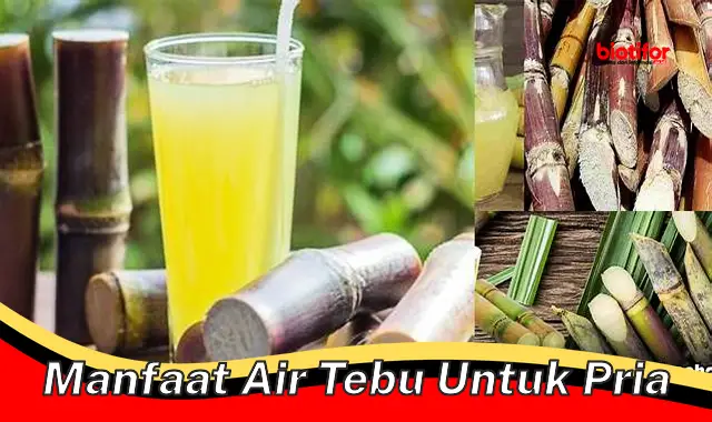 manfaat air tebu untuk pria