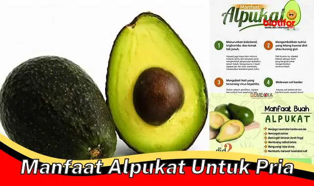 manfaat alpukat untuk pria